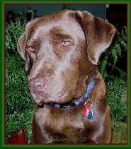 Coco January 2002sml