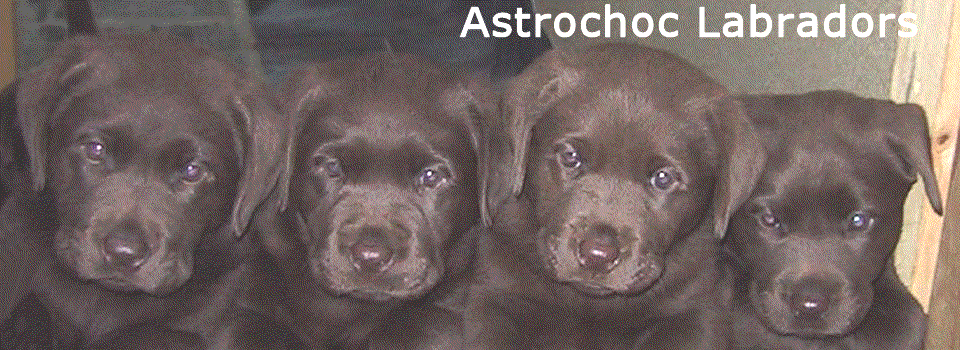 astrochoc