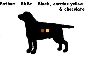 4BbEe.gif - 2948 Bytes
