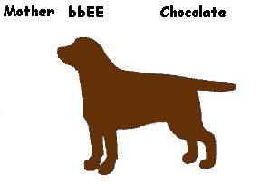 5fbbEE.gif - 2948 Bytes