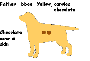 9bbee.gif - 3235 Bytes