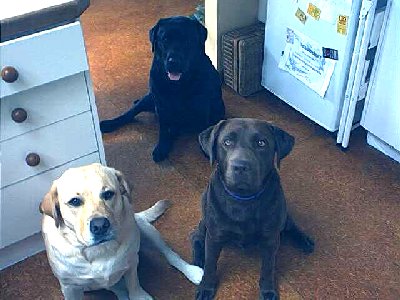 Narooma - inside3.jpg - 35193 Bytes