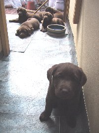 8-afternoon.jpg - 17963 Bytes